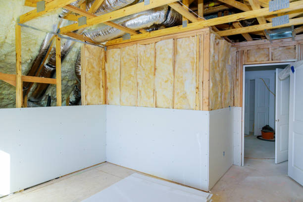 Best Insulation Replacement Services  in Lake Wales, FL