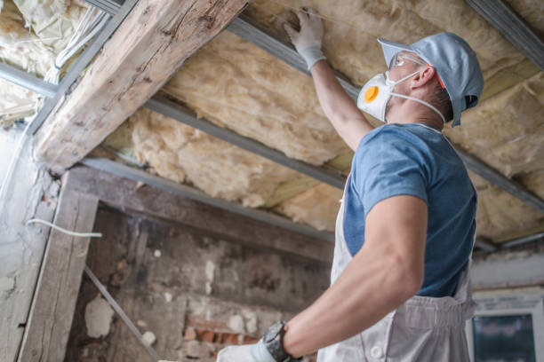 Best Spray Foam Insulation  in Lake Wales, FL