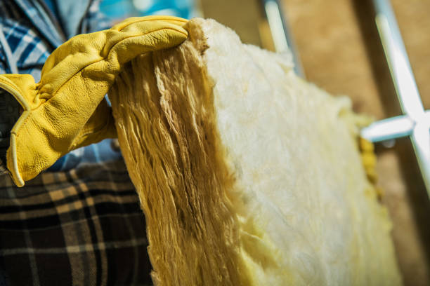 Best Insulation Installation Cost  in Lake Wales, FL